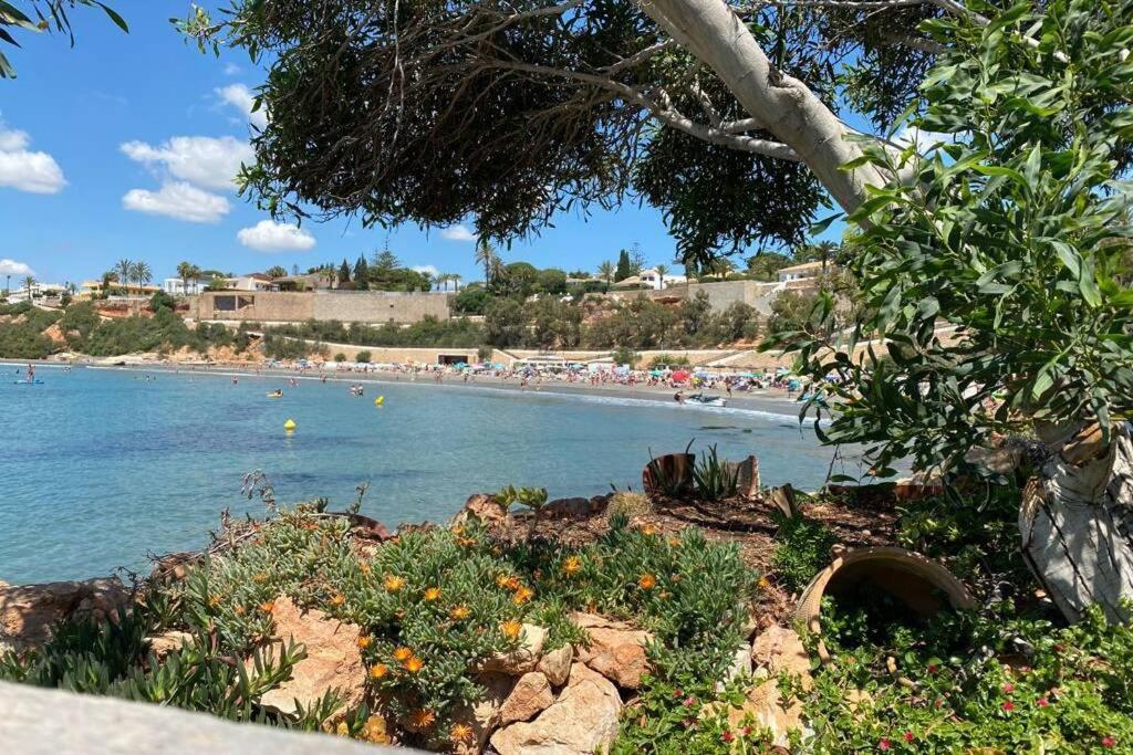 Luxury Penthouse Oasis Beach VIII Orihuela Costa Punta Prima Torrevieja Exterior photo